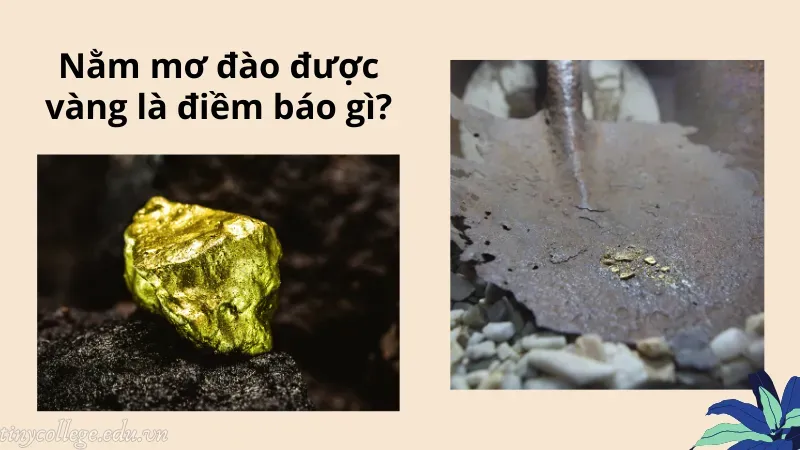 nằm mơ đào được vàng 1