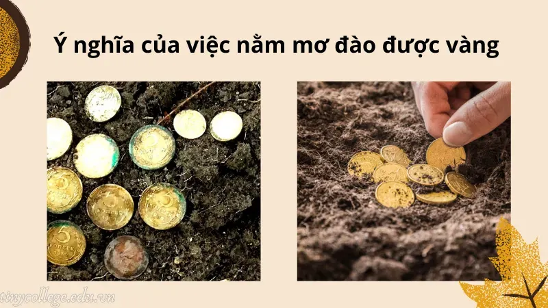 nằm mơ đào được vàng 2