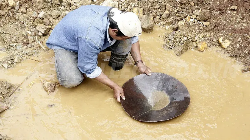 nằm mơ đào được vàng 6