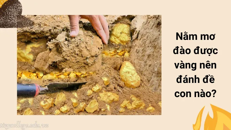 nằm mơ đào được vàng 7