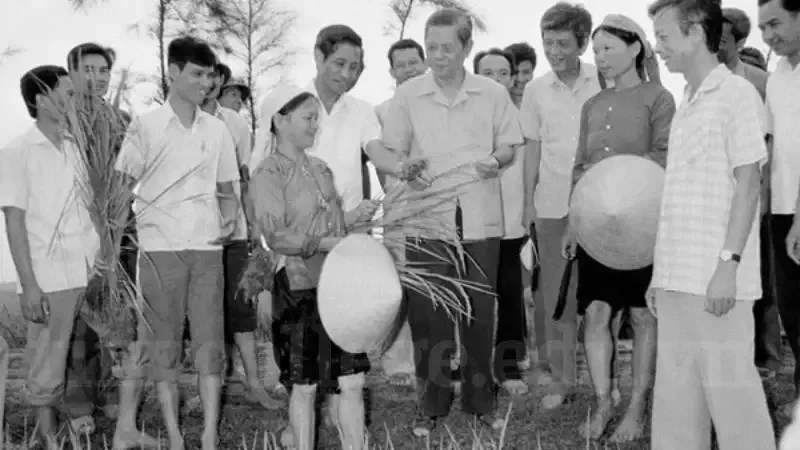 Tiểu sử Nguyễn Văn Linh 5