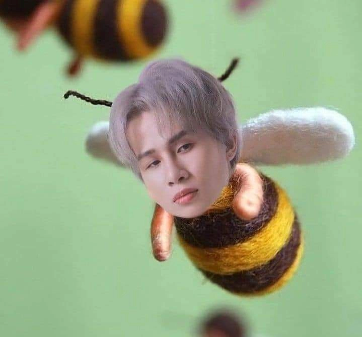 Meme em bé cute hài hước làm tan chảy mọi trái tim
