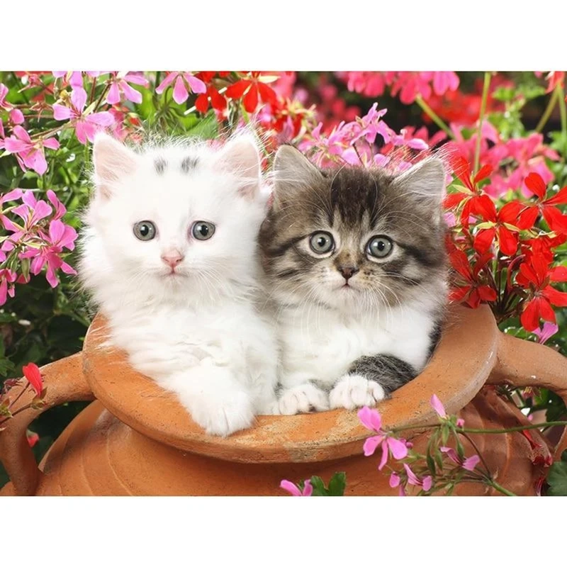 Chia sẻ ảnh meme cute tình yêu để khiến đối phương cảm nhận được tình cảm của bạn!