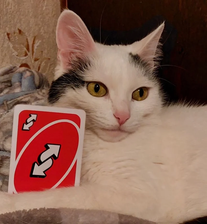 Uno đảo chiều meme là những cú 