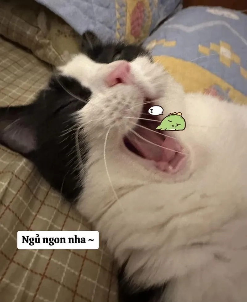 Mệt mỏi meme buồn ngủ cực kỳ dễ thương, diễn đạt đúng cảm giác muốn ngủ ngay lập tức.