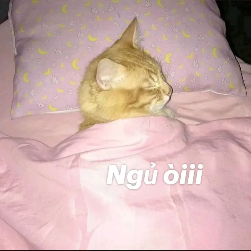 Em bé buồn ngủ meme đáng yêu là cách tuyệt vời để thể hiện sự mệt mỏi với một chút hài hước.