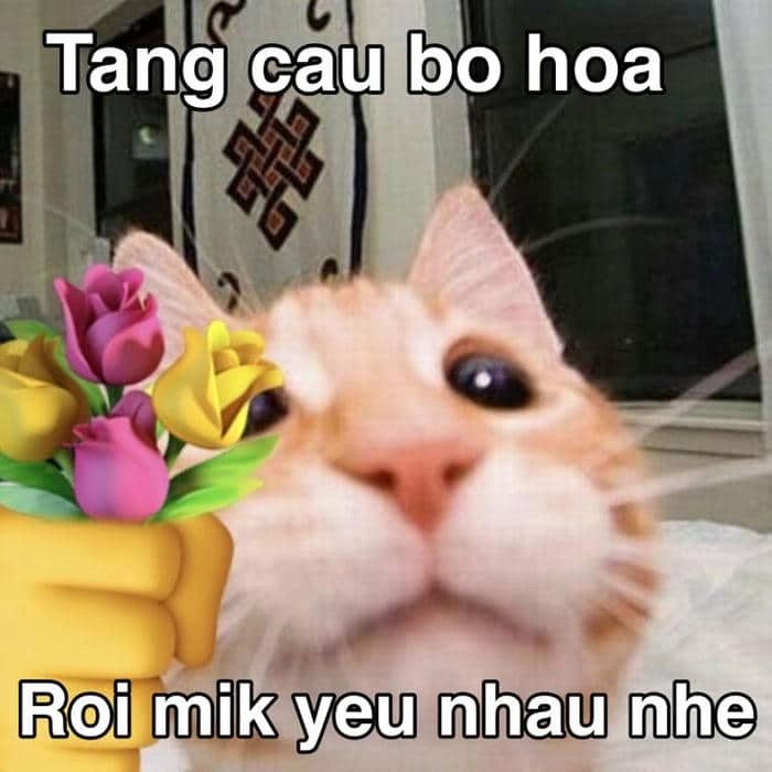 Meme sạc pin tình yêu là cách hài hước để thể hiện tình cảm trong những khoảnh khắc đặc biệt.