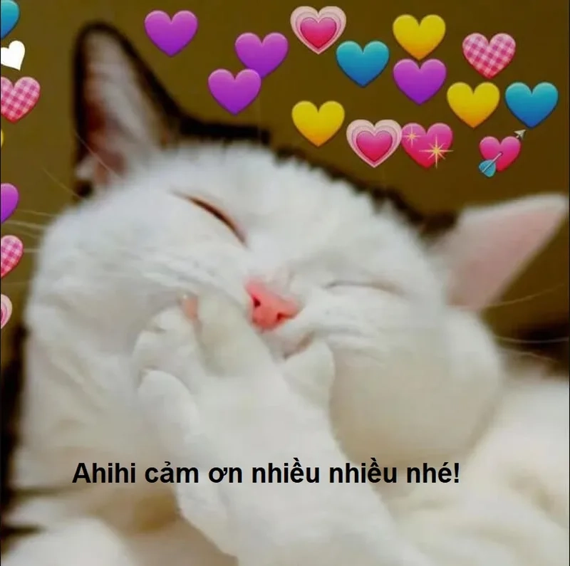 Tình yêu ảnh meme em bé có chữ, thể hiện sự ngọt ngào và chân thành.