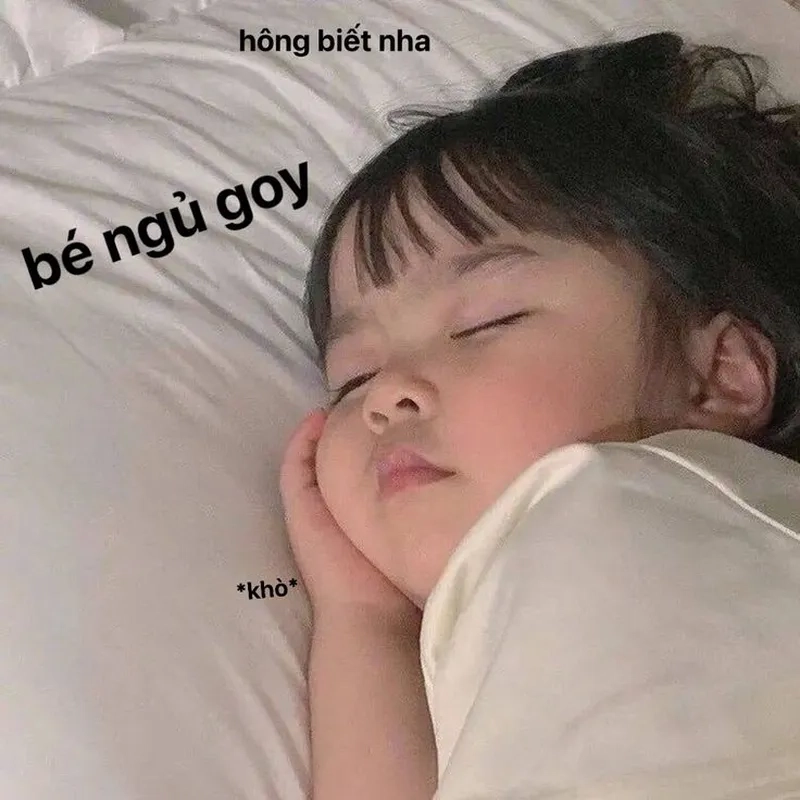 Chúc ngủ ngon bằng meme hài hước mang lại những nụ cười trước khi đi ngủ.
