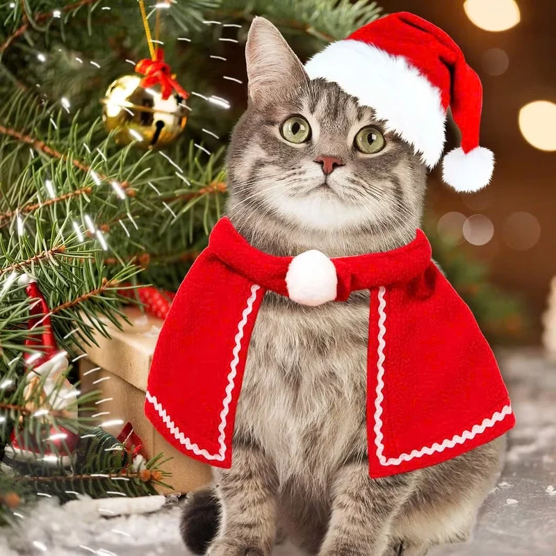 Deco Noel à faire soi meme mang đến những ý tưởng sáng tạo cho mùa lễ hội độc đáo.
