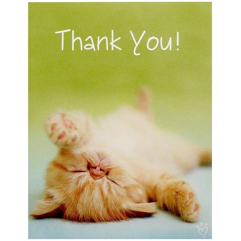 Lời cảm ơn sâu sắc qua meme thank you so much, một cách thể hiện biết ơn dễ dàng và vui nhộn.