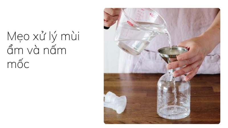 Sử dụng giấm trắng để xử lý mùi ẩm và nấm mốc an toàn