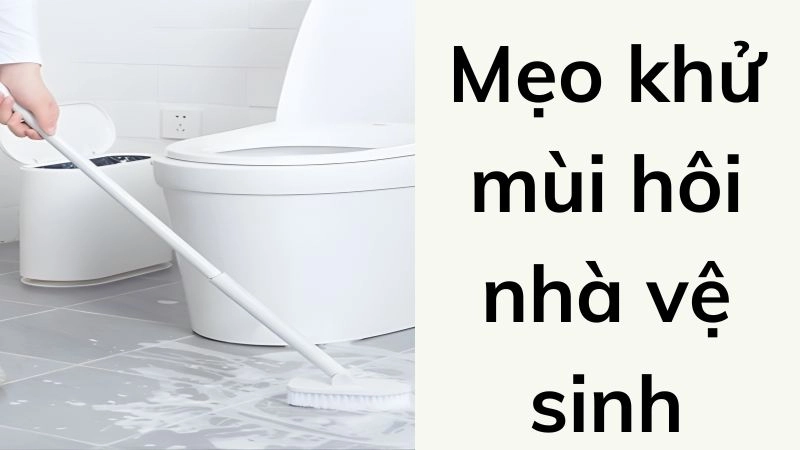 Nguyên nhân phổ biến gây mùi hôi toilet 