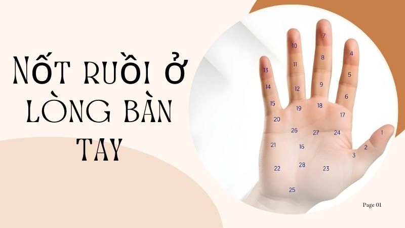 Nốt ruồi ở lòng bàn tay - Khả năng nắm giữ quyền lực