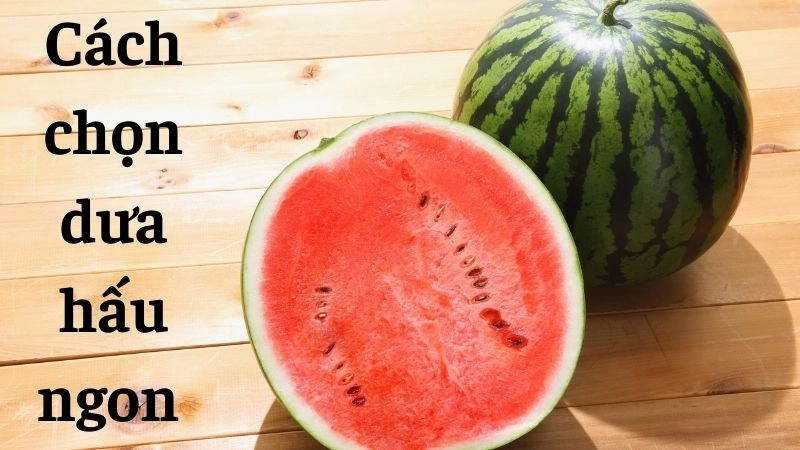 Quan sát phần đáy và màu sắc lớp vỏ bên ngoài