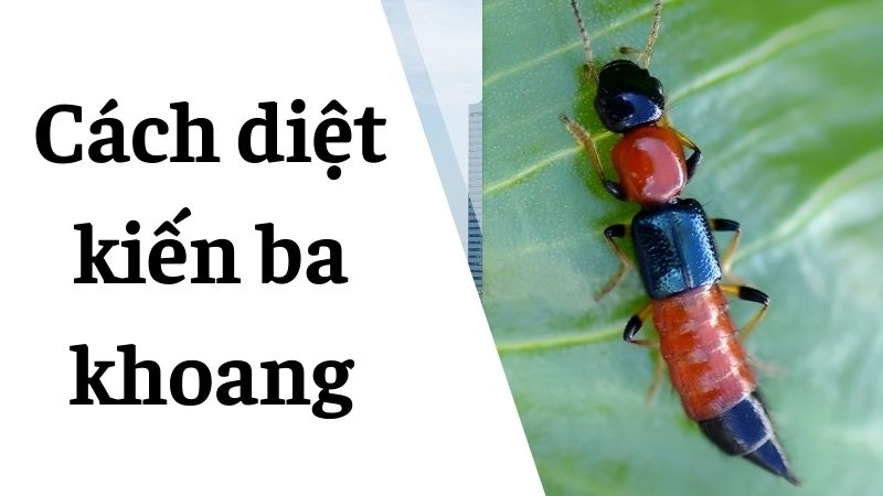 Mẹo dùng ánh sáng 