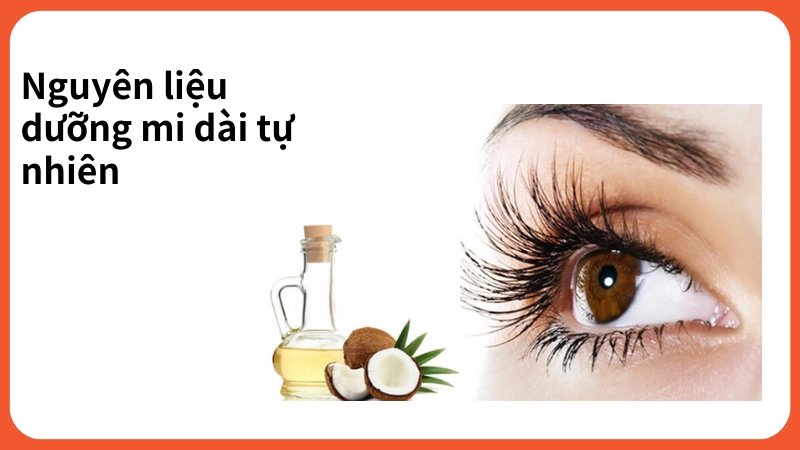 Nguyên liệu thiên nhiên cách dưỡng mi dài tại nhà