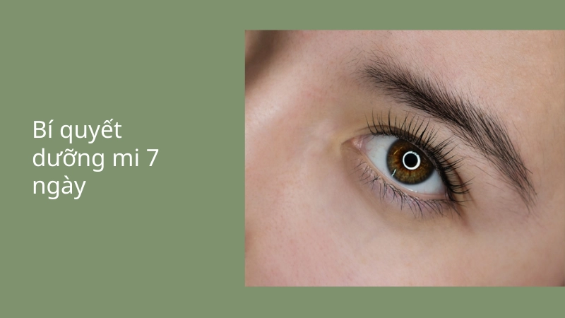 Bí kíp thực hiện cách dưỡng mi dài sau 7 ngày