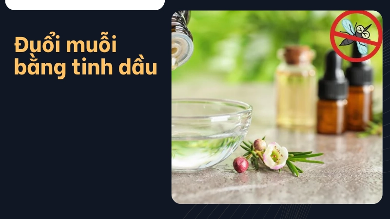 Cách đuổi muỗi bằng các loại tinh dầu sẵn có tại bếp